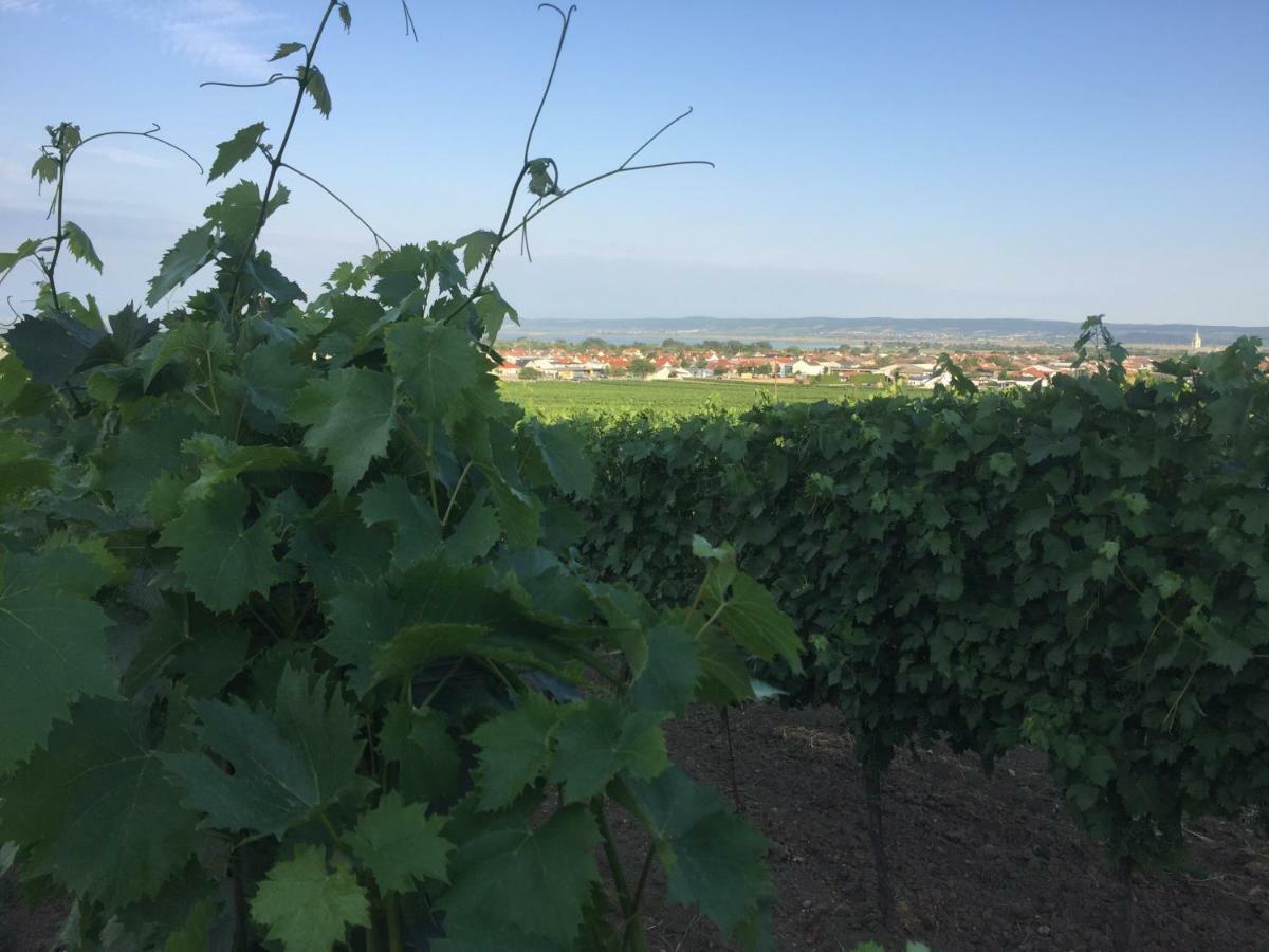 Apartamento Weingut Krikler Weiden am See Exterior foto